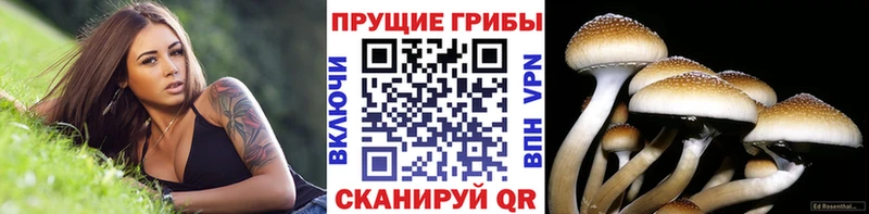 Галлюциногенные грибы мухоморы  сколько стоит  Плёс 